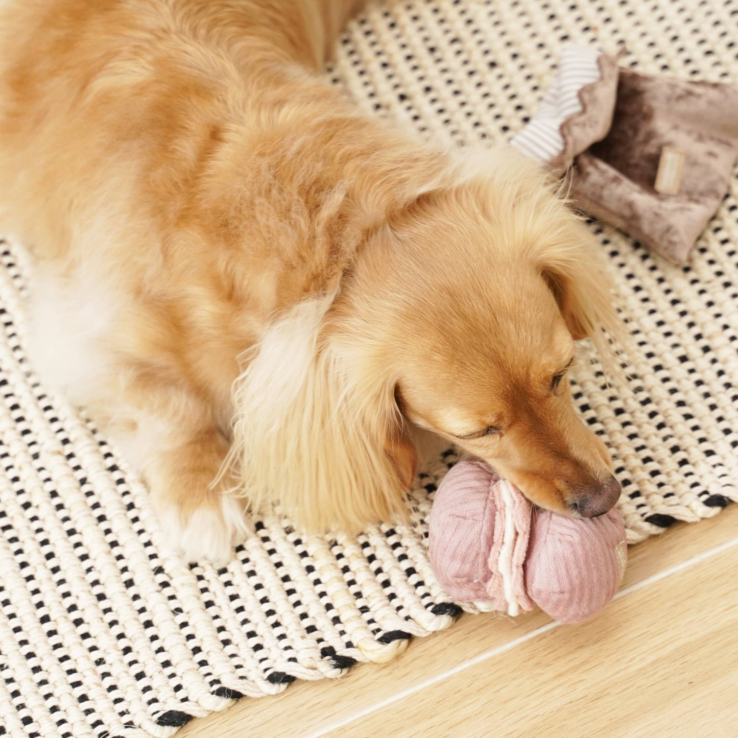 Aktivitetslegetøj - 2-i-1