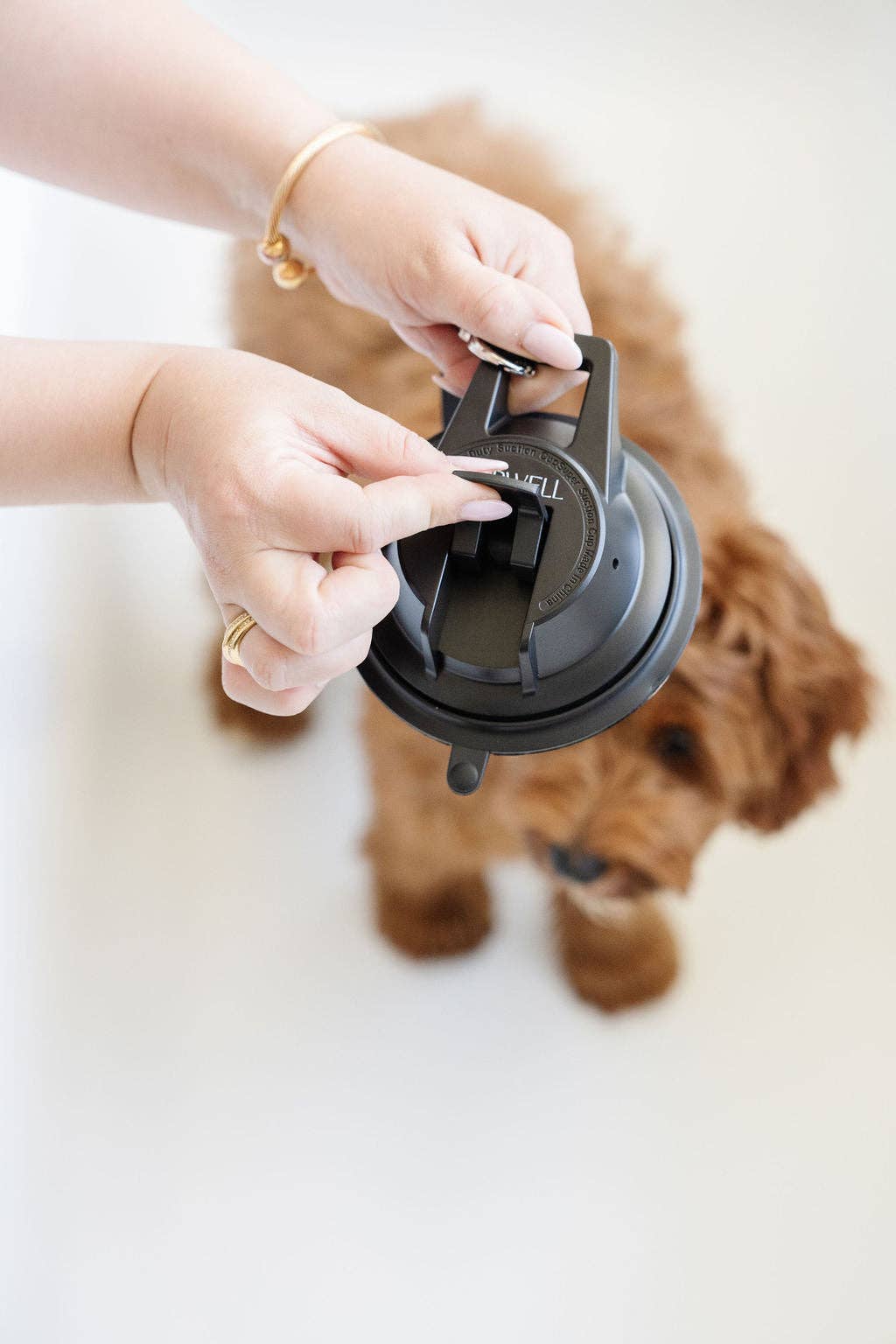 Pupwell Stay In Place snor med sugkop