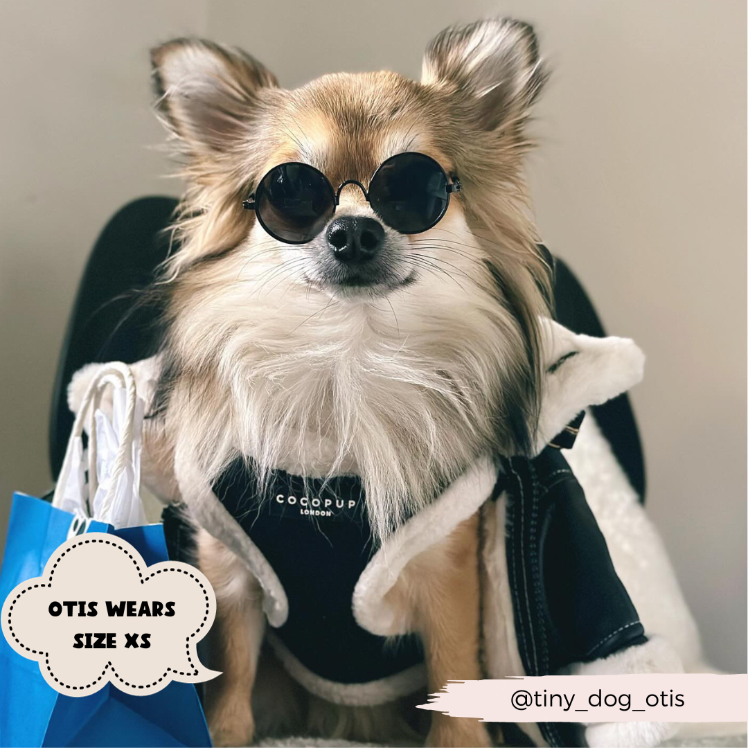 Aviator sele - sort