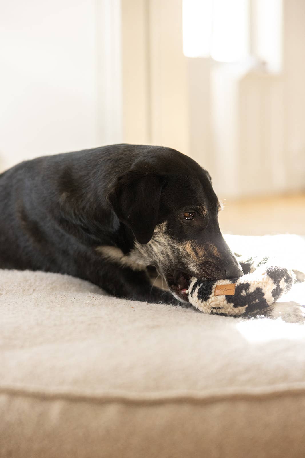 Knitrende Donut Leo - håndlavet