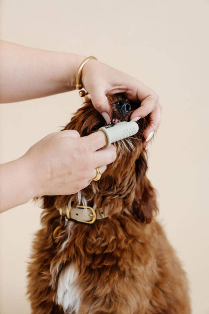Puppy Breath fingertandbørste