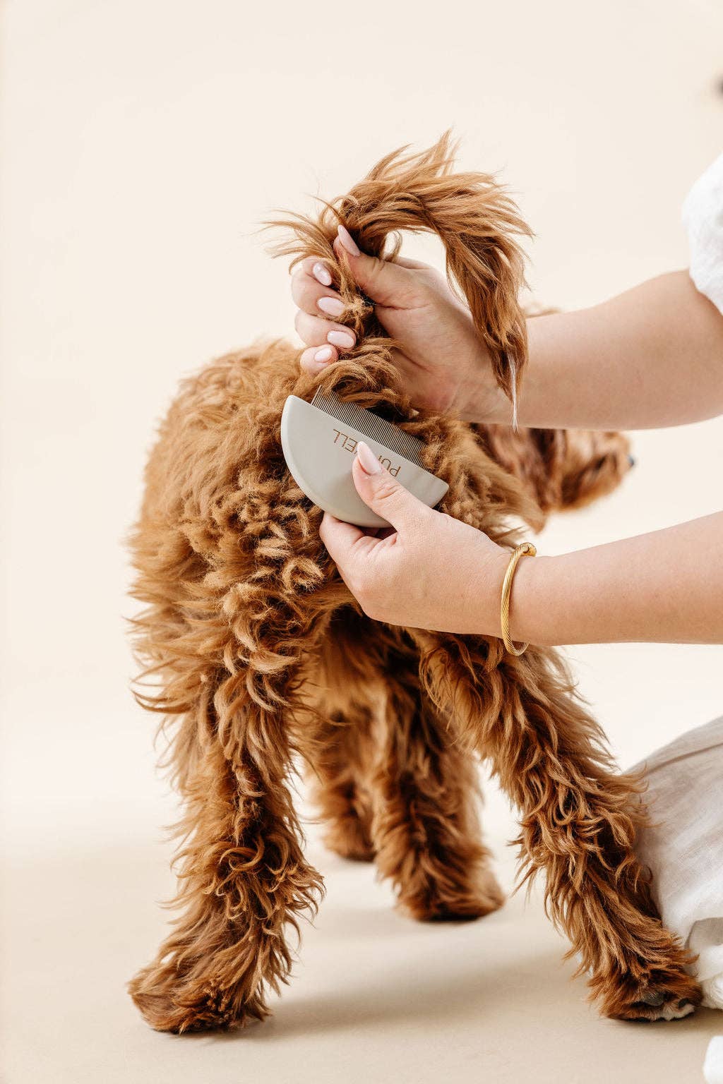 Kam til øjne, poter og numseparti