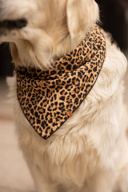 Bandana Leo