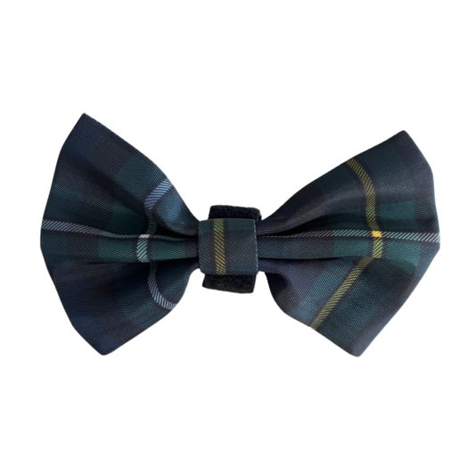 Gentlemens Bow