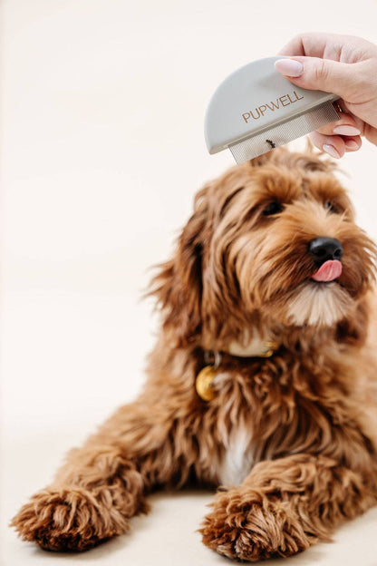 Kam til øjne, poter og numseparti