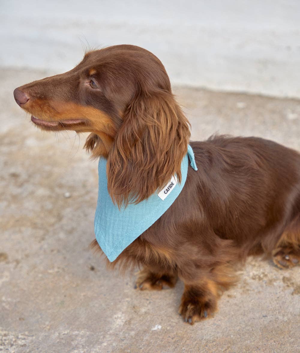 Bandana, Mintgrøn