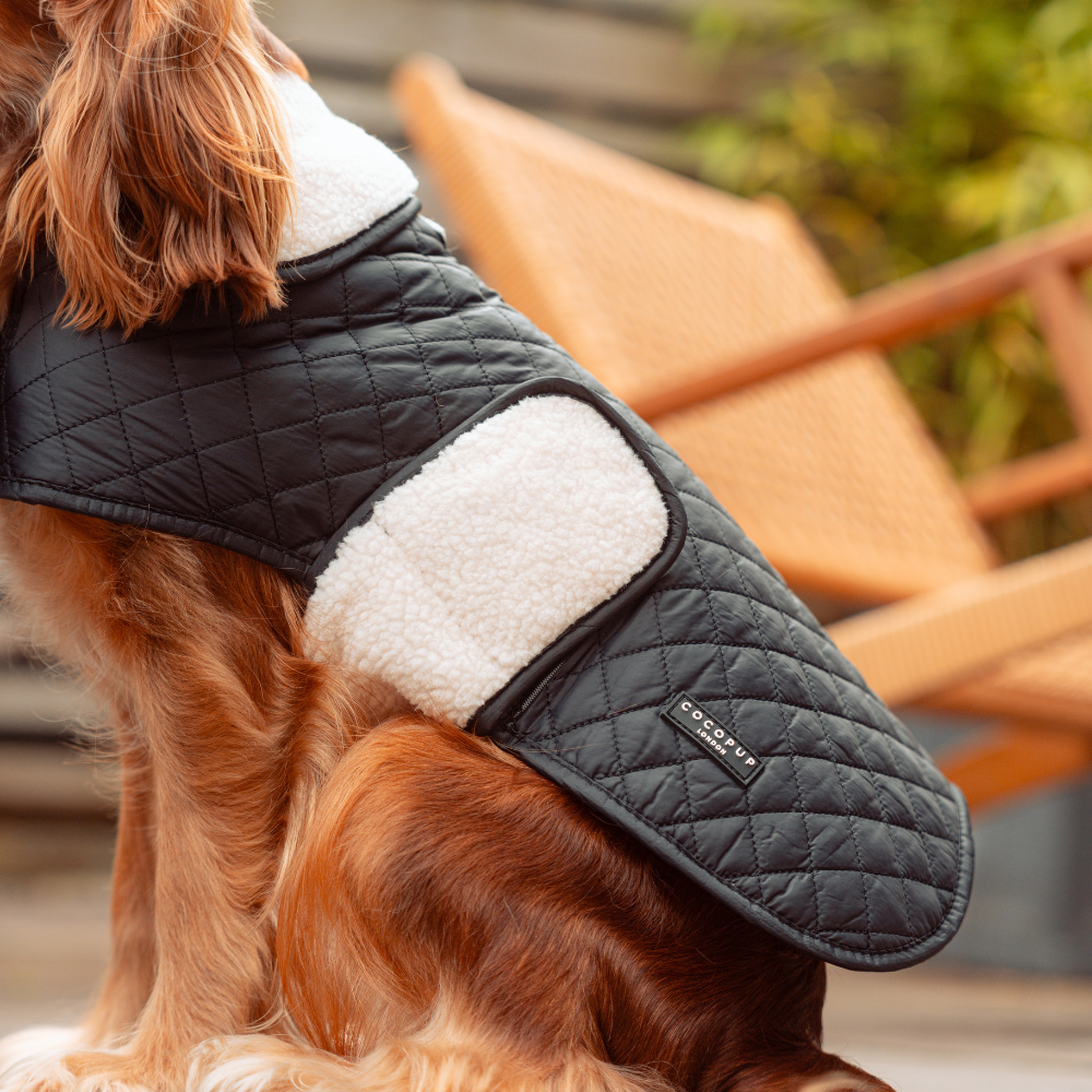 LUXE Quilted Dog Coat 🐾 - Midnight Black