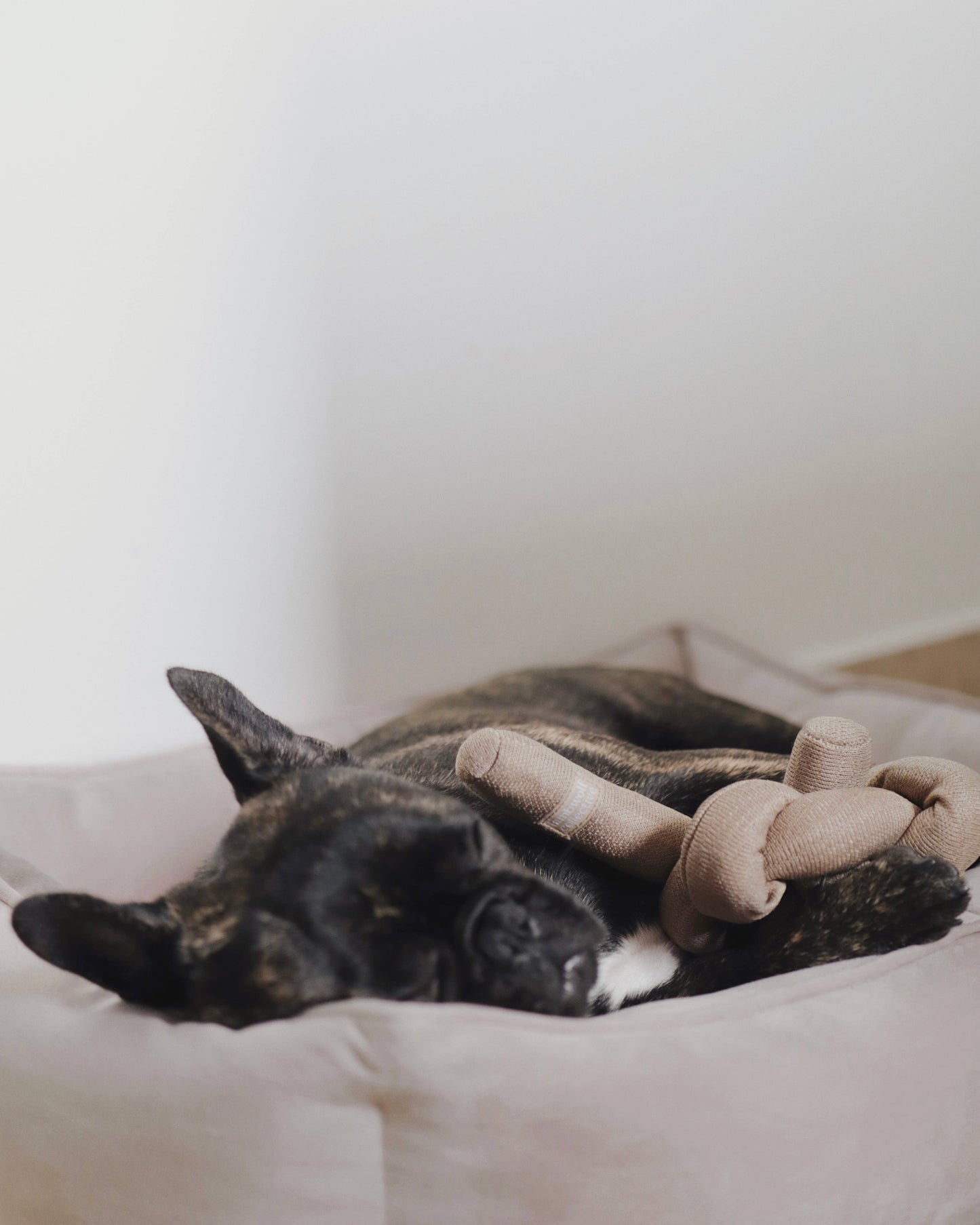 Aktivitetslegetøj -NOU - Tan