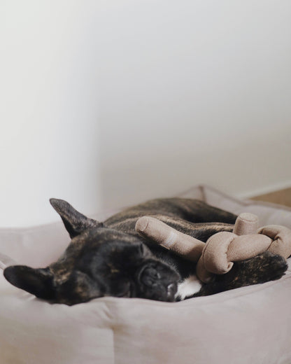 Aktivitetslegetøj -NOU - Tan