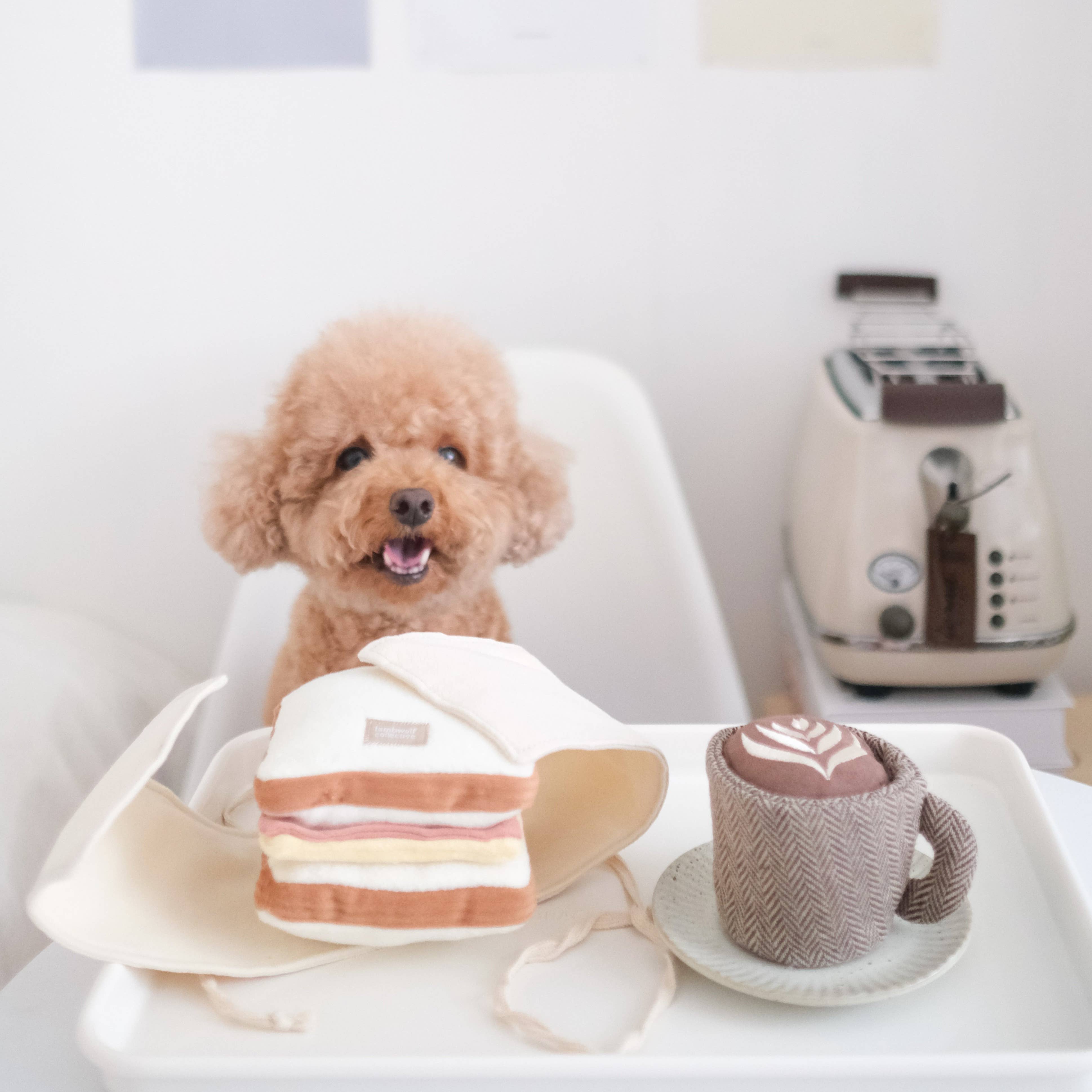Aktivitetslegetøj - ham&cheese 🥪🐾