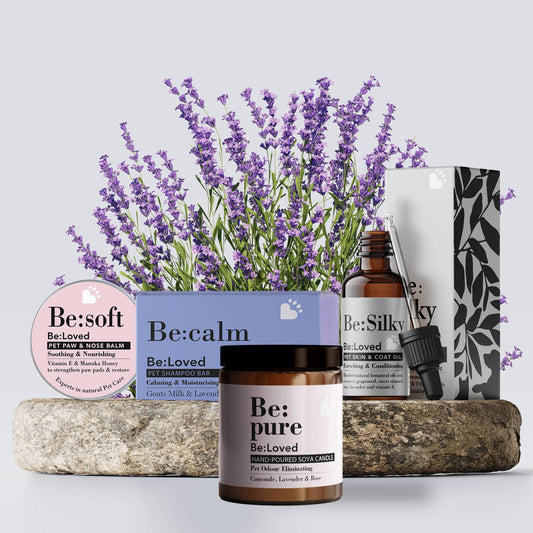 Be:Calm – Det ultimative forkælelsessæt til kæledyr & forældre 🐾🎁