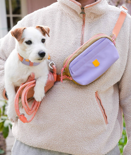 Alpha 360 hip pack - Lavendel Mix