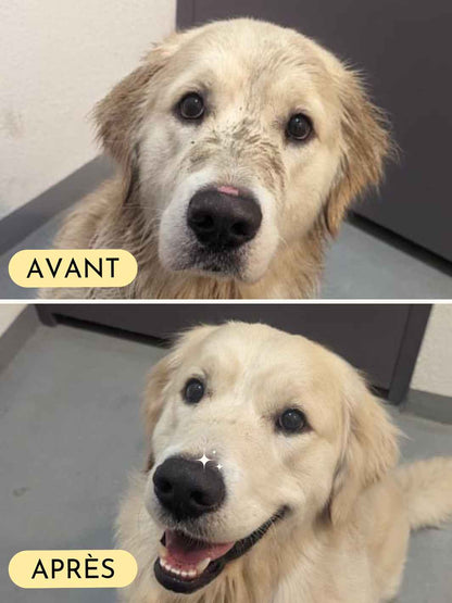 Balsam til hundesnuder