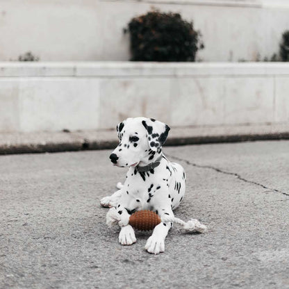 Naturligt hundeæegetøj - Rugby Spike
