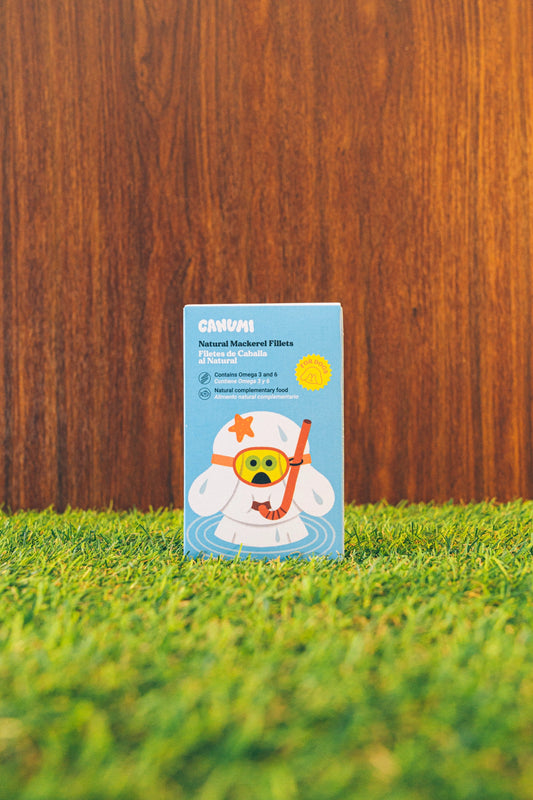 Makrelfileter fra den vilde atlantiske kyst