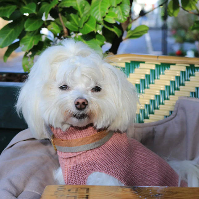 Unisex Uld hundetrøje lyserød