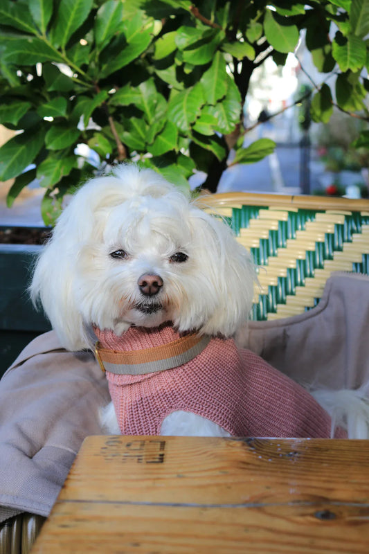 Unisex Uld hundetrøje lyserød