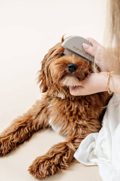 Kam til øjne, poter og numseparti