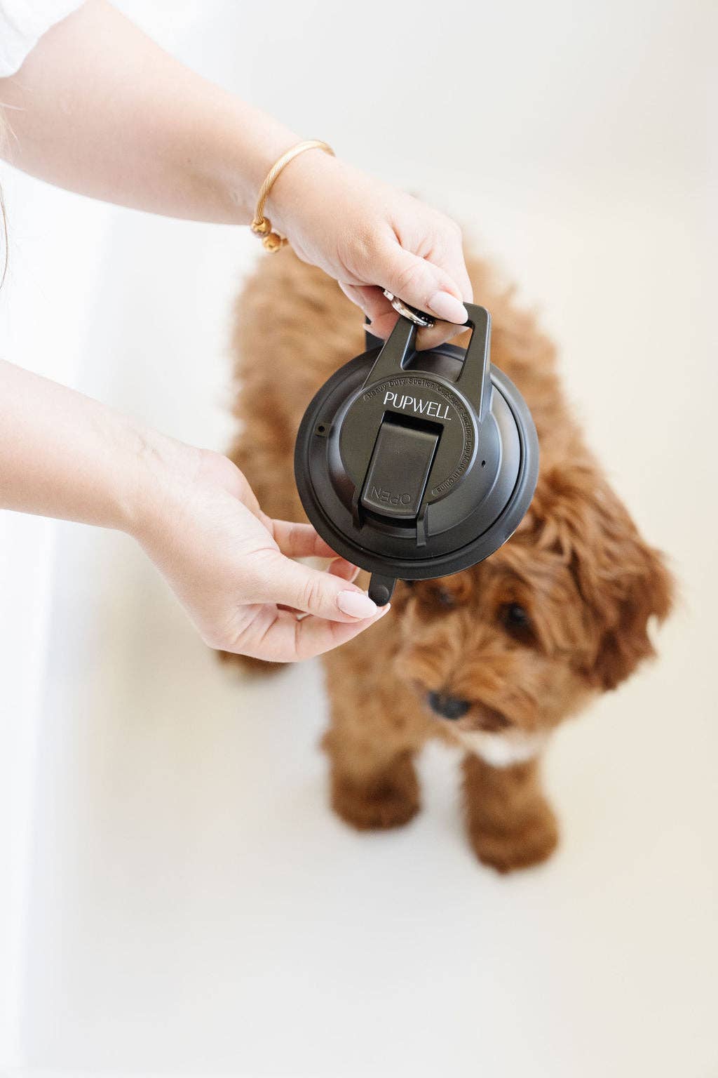 Pupwell Stay In Place snor med sugkop