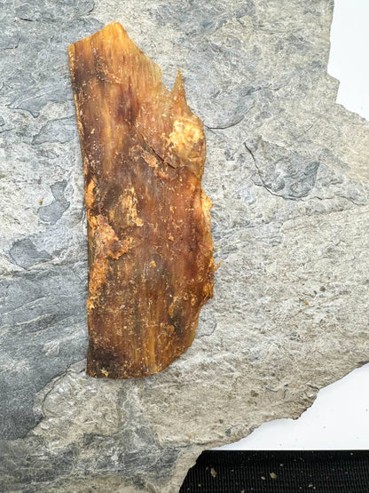 100% naturlige oksekødssener