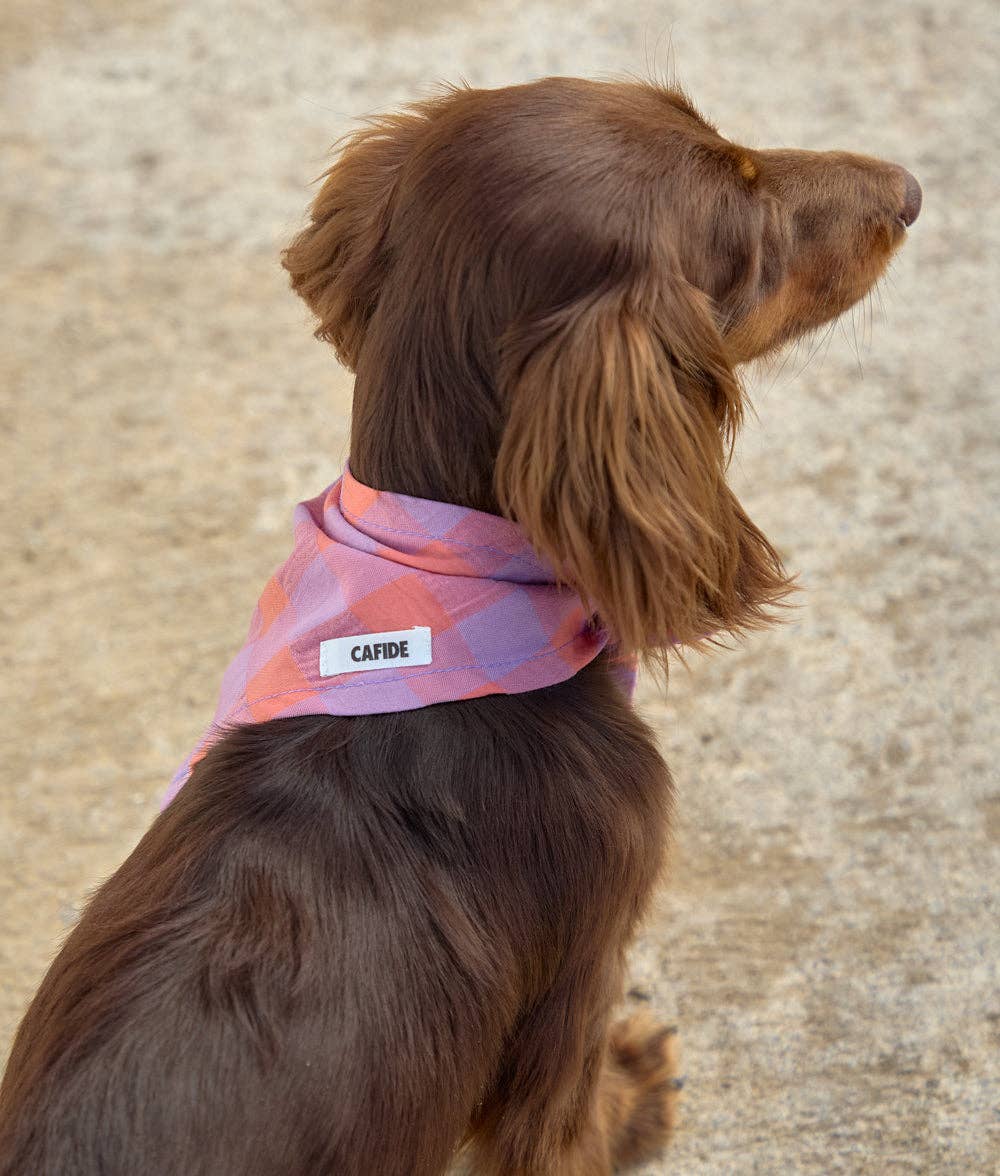 Bandana Vichy, pink