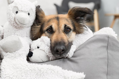 Be Eco - Alpaka Eyleen