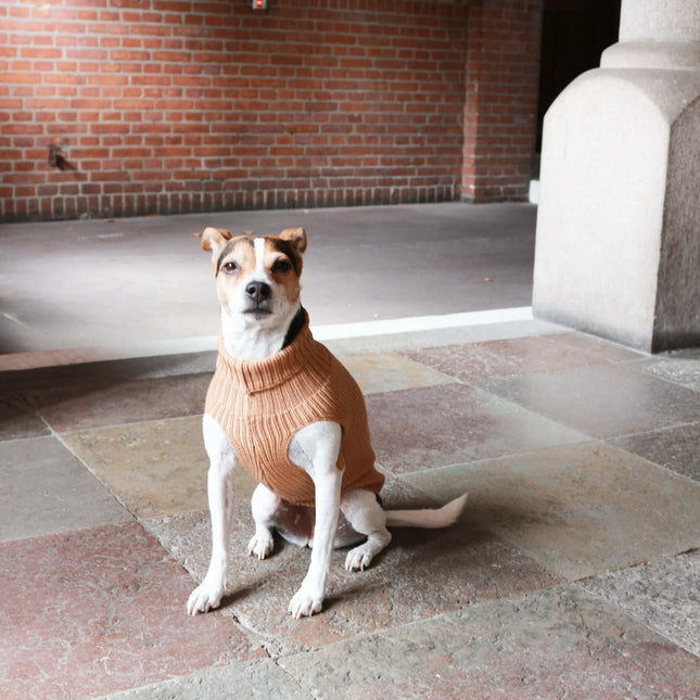 Unisex Uld hundetrøje sennep