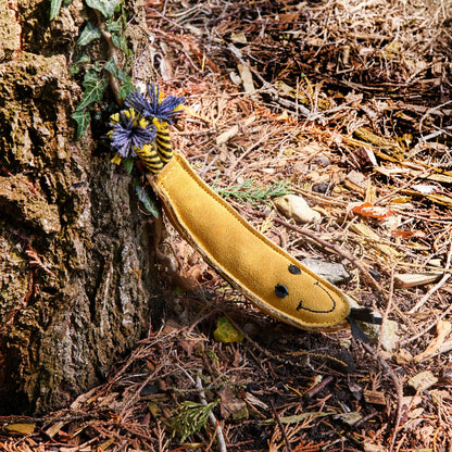 Barry the Banana