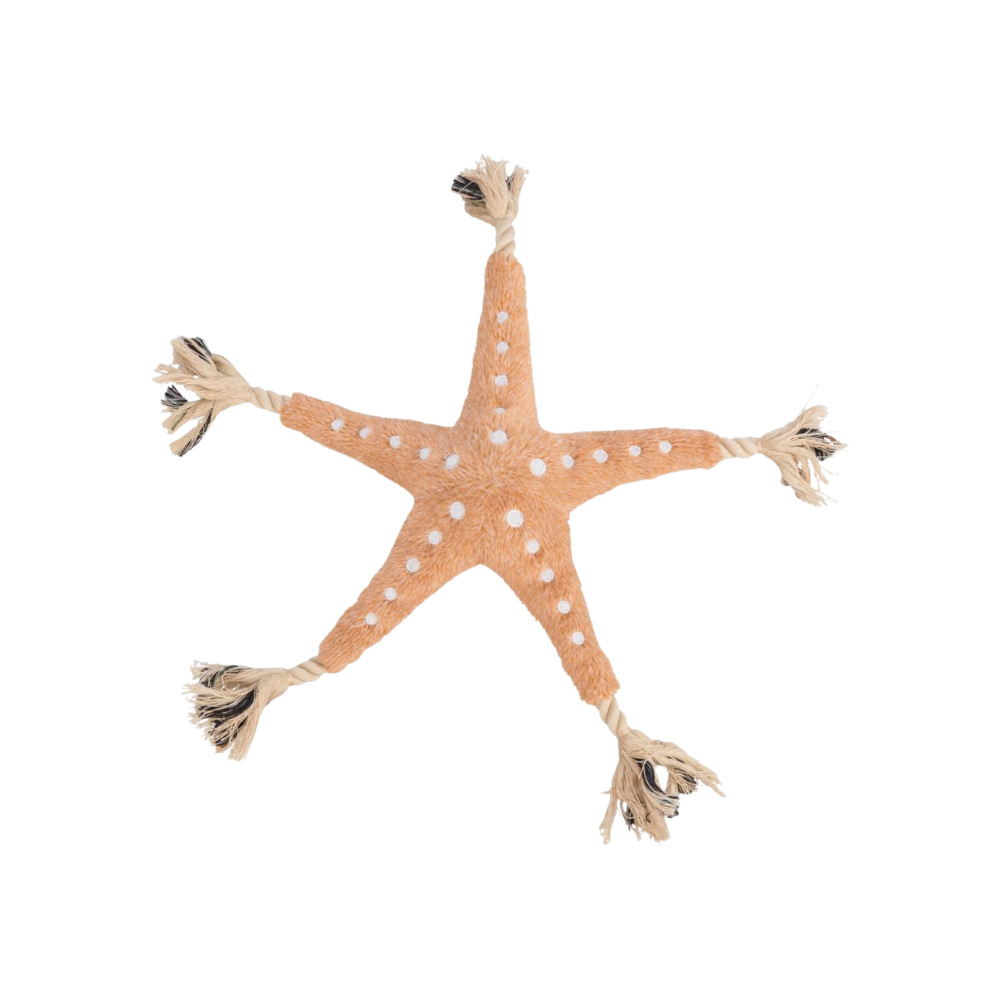 Søstjerne med reb