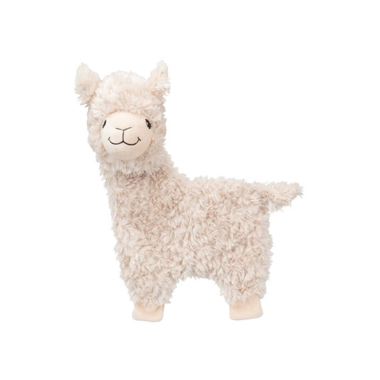 Lamaen Lenny