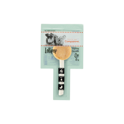 Companion Lollipop - Kylling