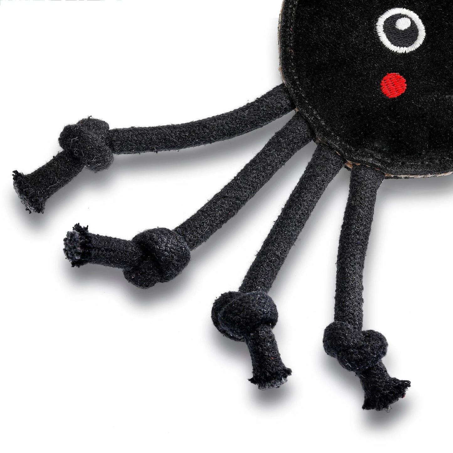 Fangus