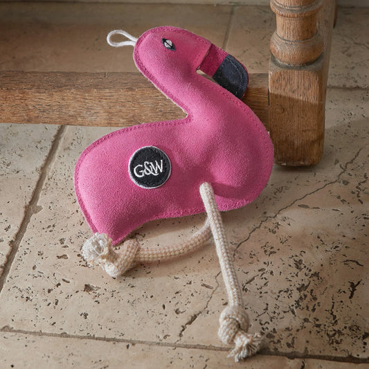 Floyd the flamingo
