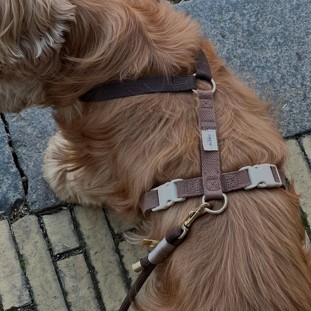 Justerbar hundesele - Chocolate