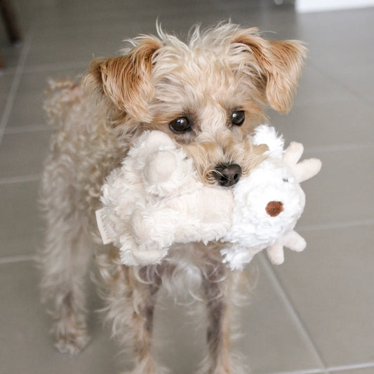 Vixi Mini Plush