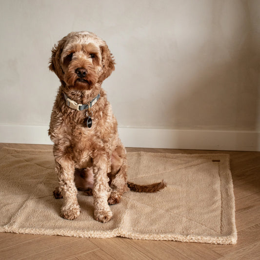 Blødt hundetæppe i teddy fleece, beige