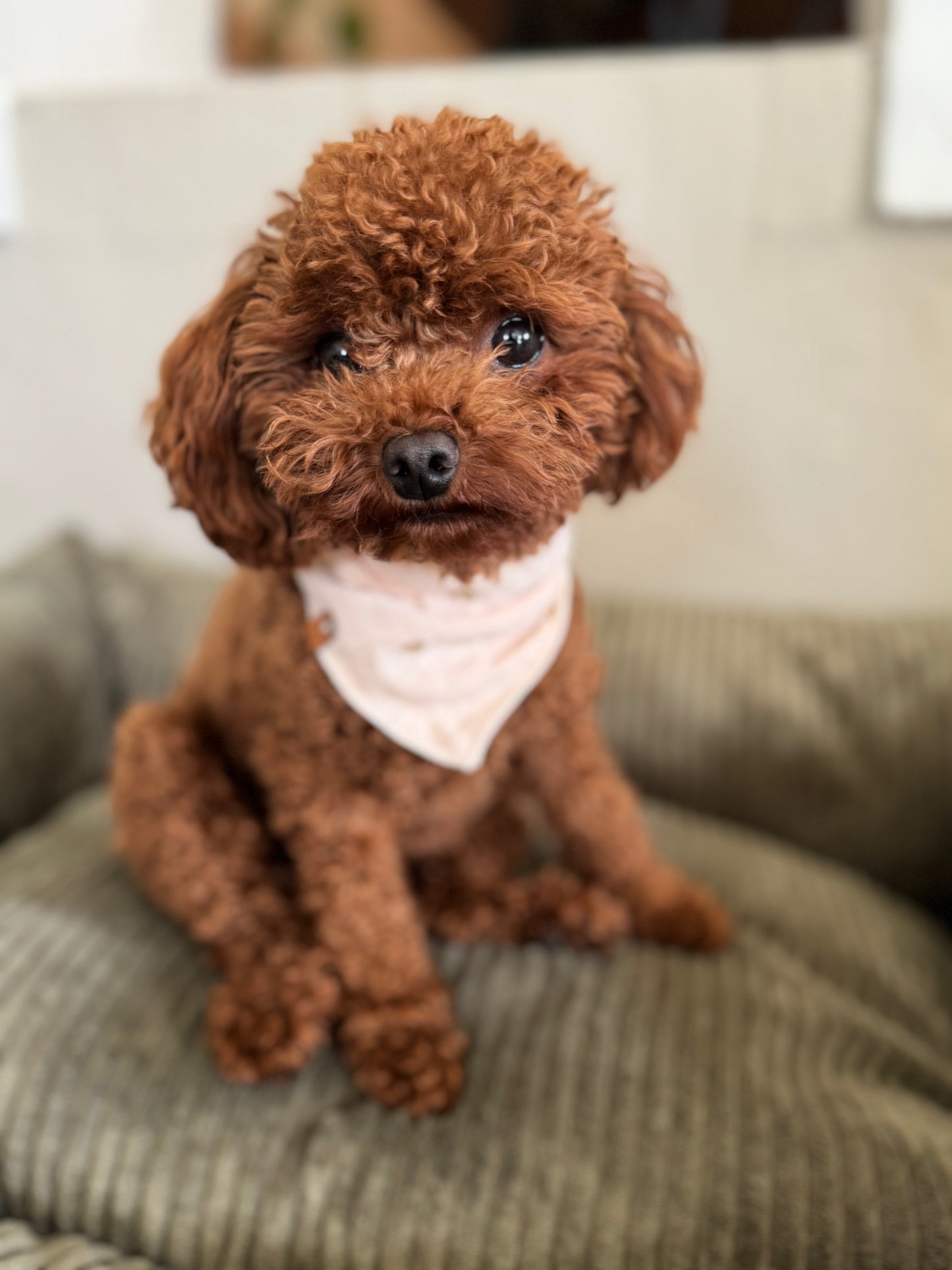 Musselin bandana "Little Hearts"