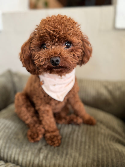 Musselin bandana "Little Hearts"