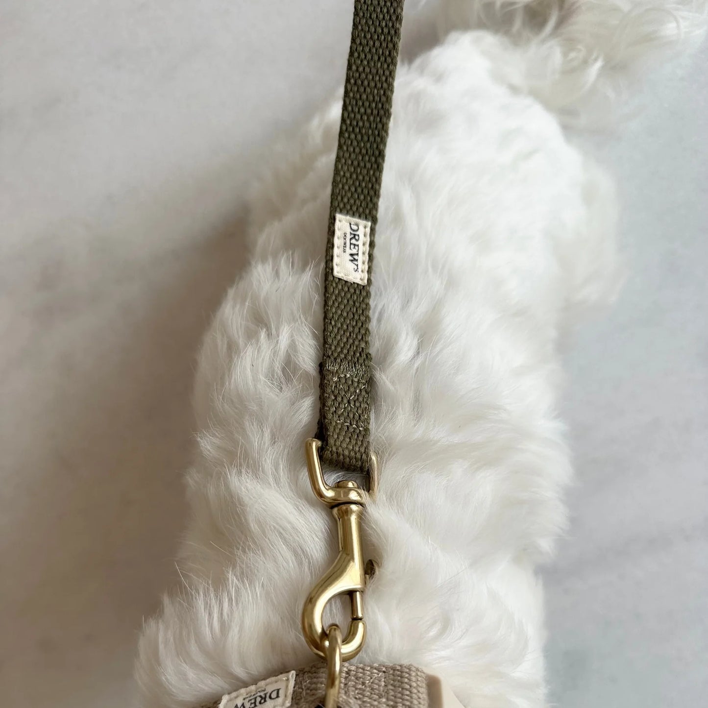 Justerbar hundesnor af bomuld - olive