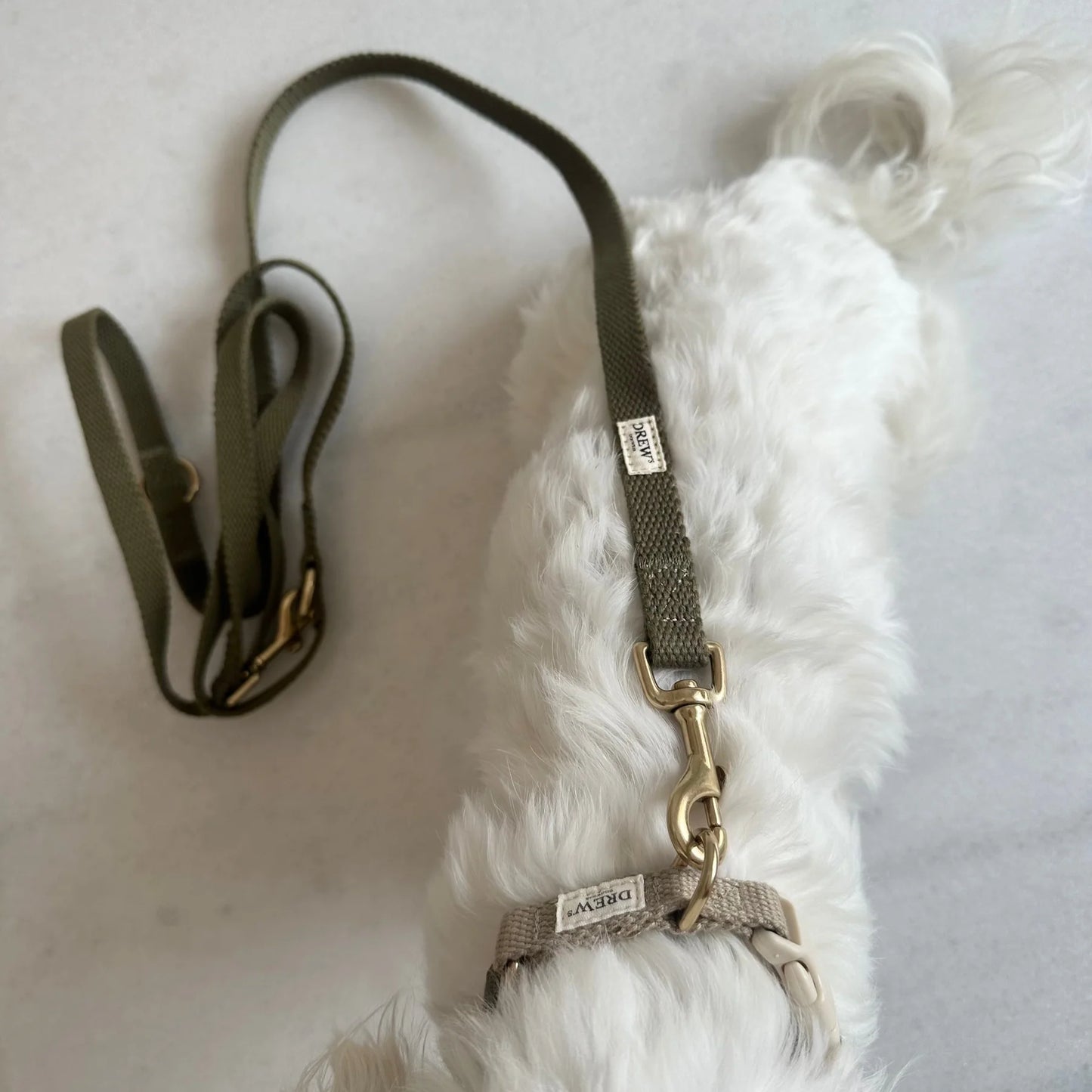 Justerbar hundesnor af bomuld - olive
