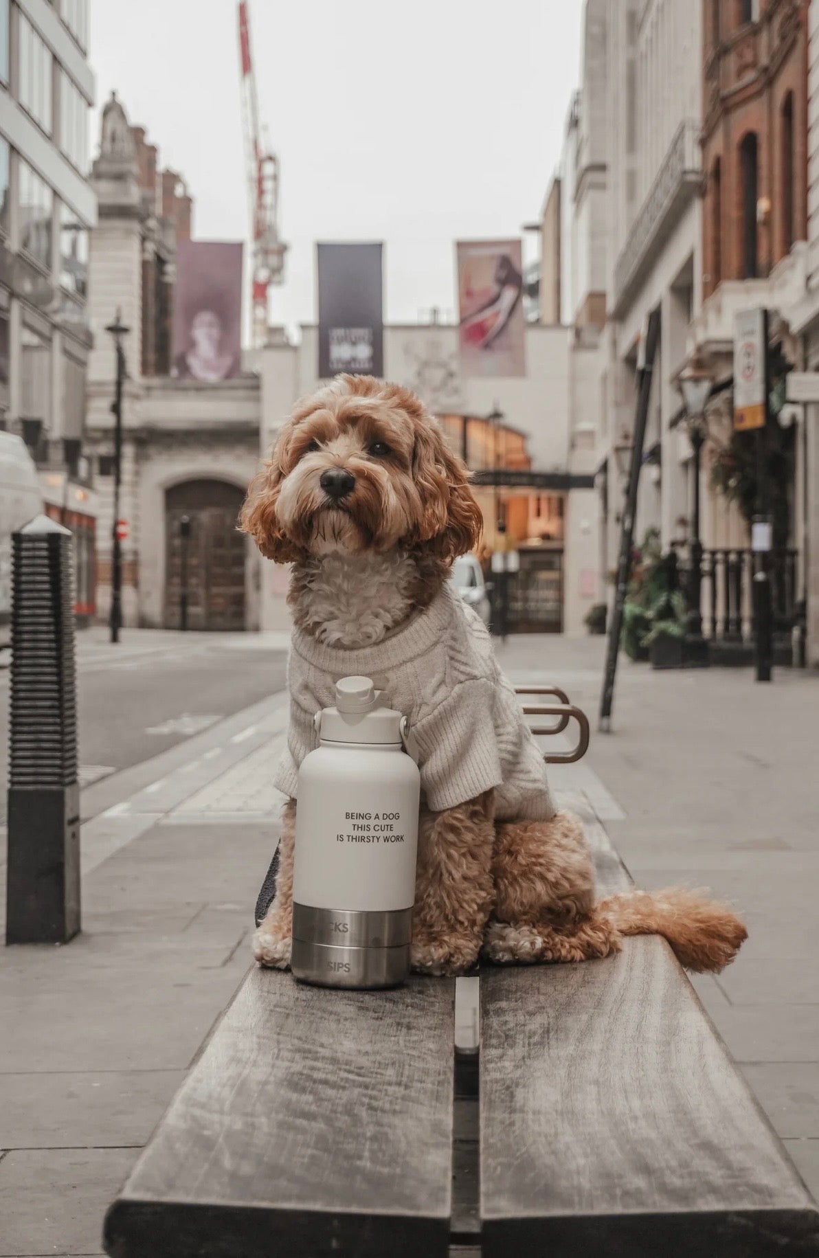 Skålflasken - 3-i-1 Rejseflaske - Marshmallow