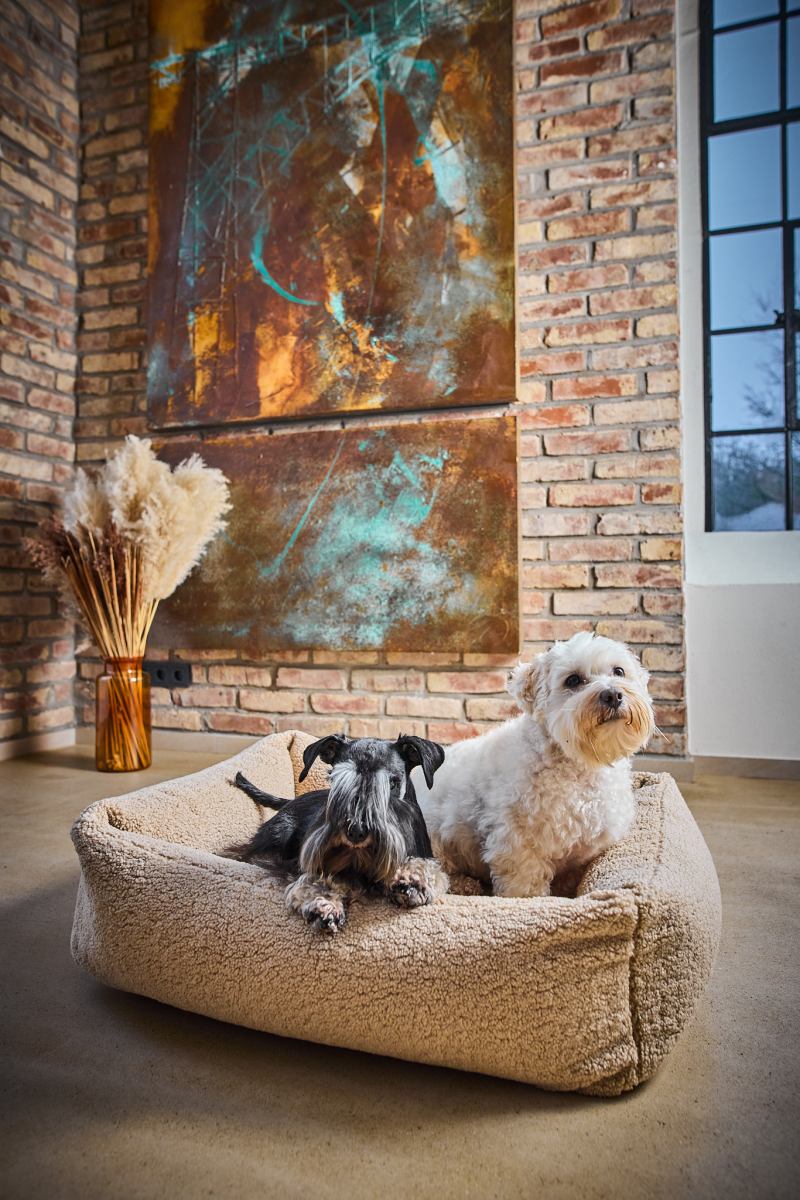 Klassisk hundeseng - beige teddy betræk