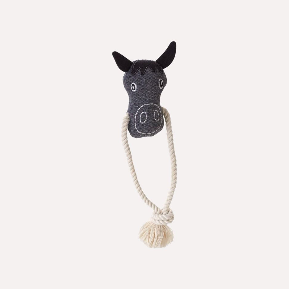 Nebraska Hest