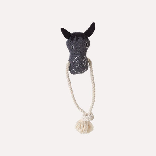 Nebraska Hest