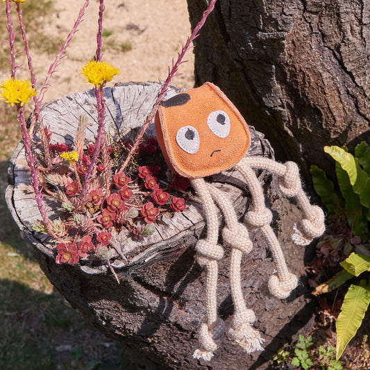 Sid the Squid