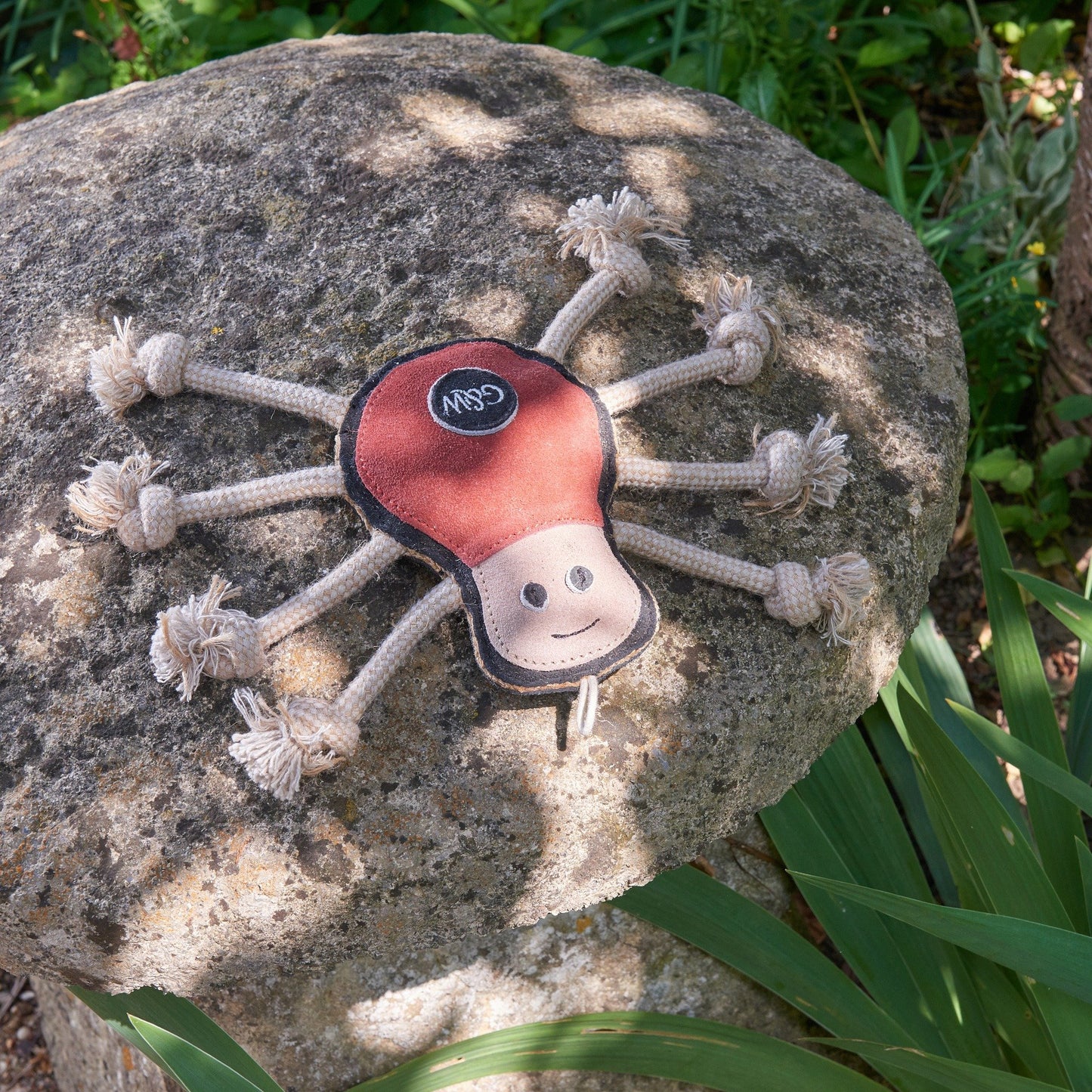 Spike the Spider