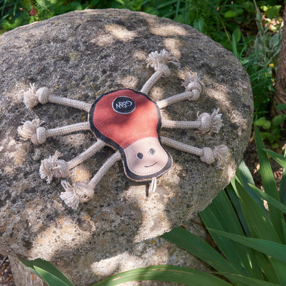 Spike the Spider