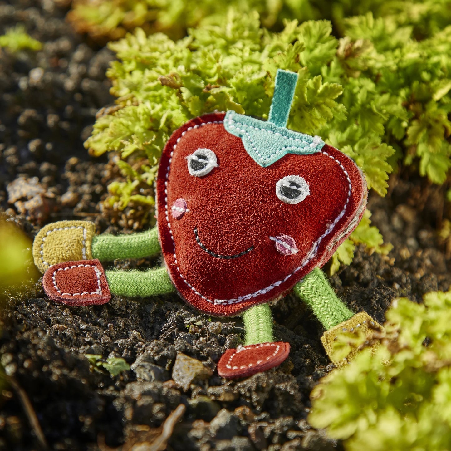 Steve the Strawberry