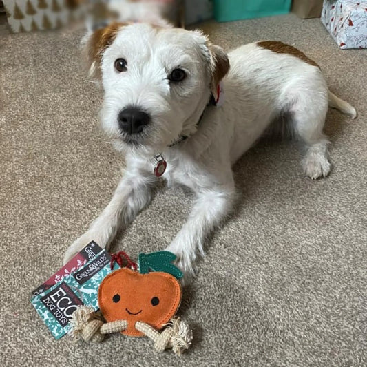 Sancho the Satsuma