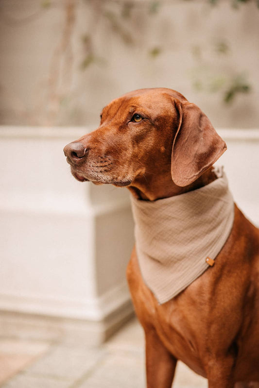 Muslin tørklæde - Smokey Beige